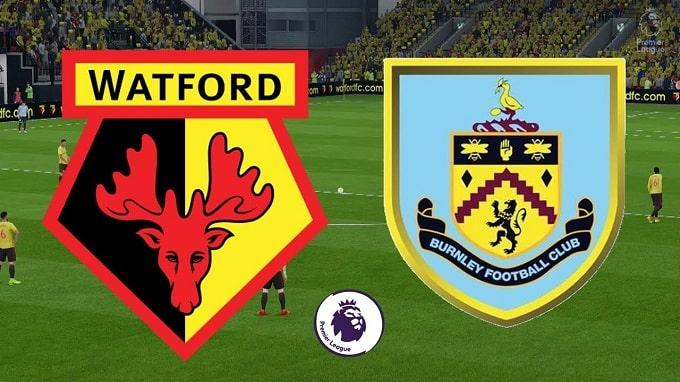 Soi keo nha cai Watford vs Burnley, 23/11/2019 - Ngoai Hang Anh