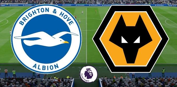 Soi keo nha cai Brighton & Hove Albion vs Wolverhampton, 8/12/2019 - Ngoai Hang Anh