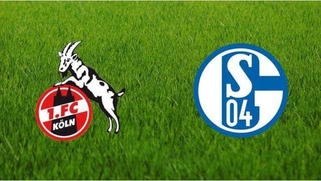 Soi kèo nhà cái Cologne vs Schalke 04, 29/02/2020 - Giải VĐQG Đức