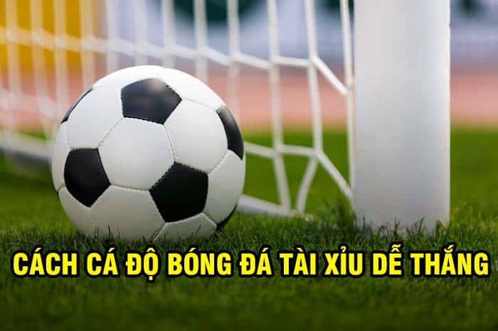 Chọn được kèo thơm khi cá độ bóng đá trực tuyến như thế nào?