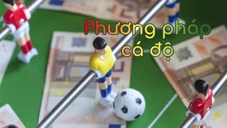 Lý do người mới chơi thường thua cá độ bóng đá