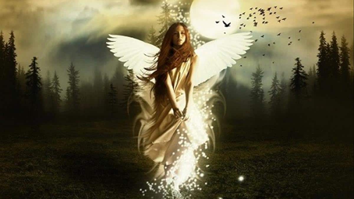 Bí ẩn giấc mơ thấy tiên nữ và con số may mắn?