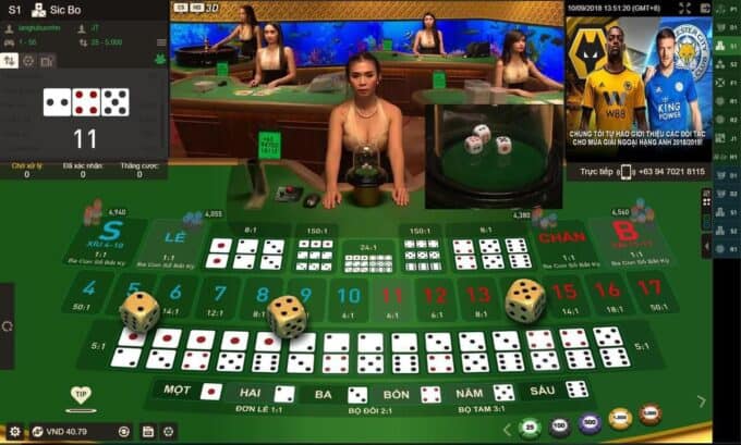 Bat mi cac cach soi cau Rong Ho giup nang cao kha nang chien thang