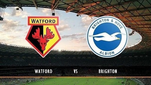 Soi kèo Brighton vs Watford, 21/08/2021
