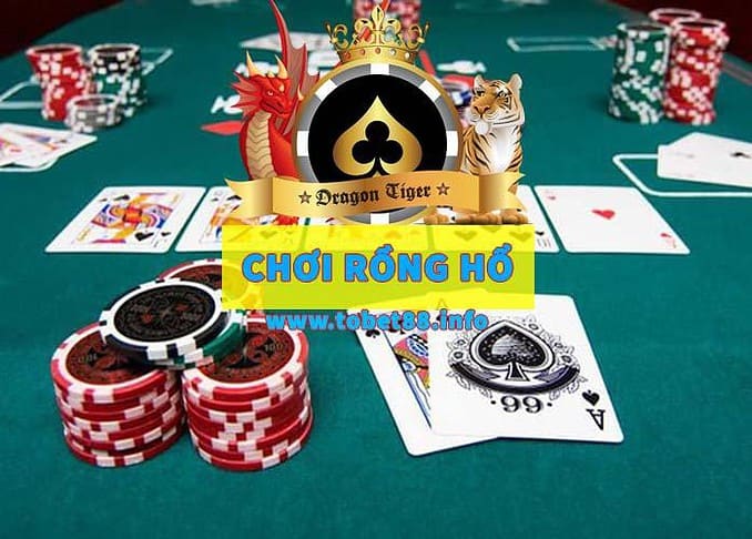 Tung buoc de phat trien Rong Ho la nhu the nao?