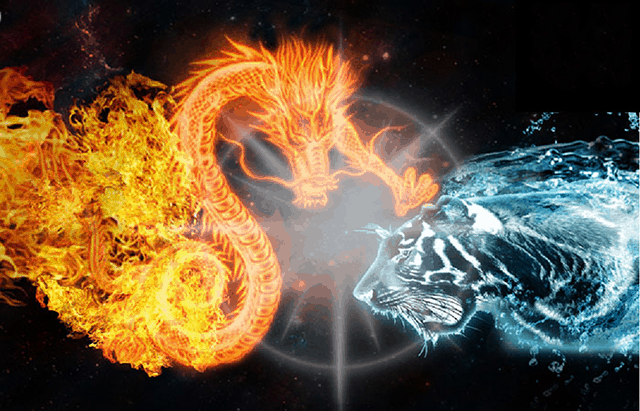 Tuyệt chiêu chơi Rồng Hổ luôn thắng không phải ai cũng biết